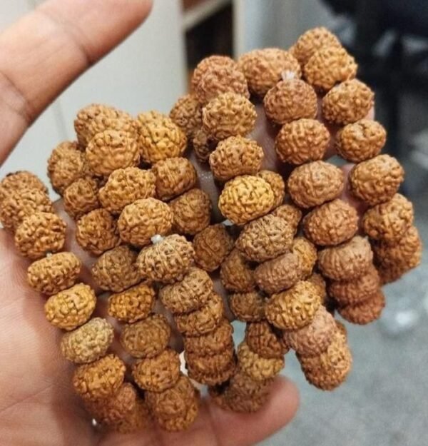🧿 7 Mukhi Rudraksha Bracelet – Attract Wealth, Health & Divine Protection 💫 - Image 5
