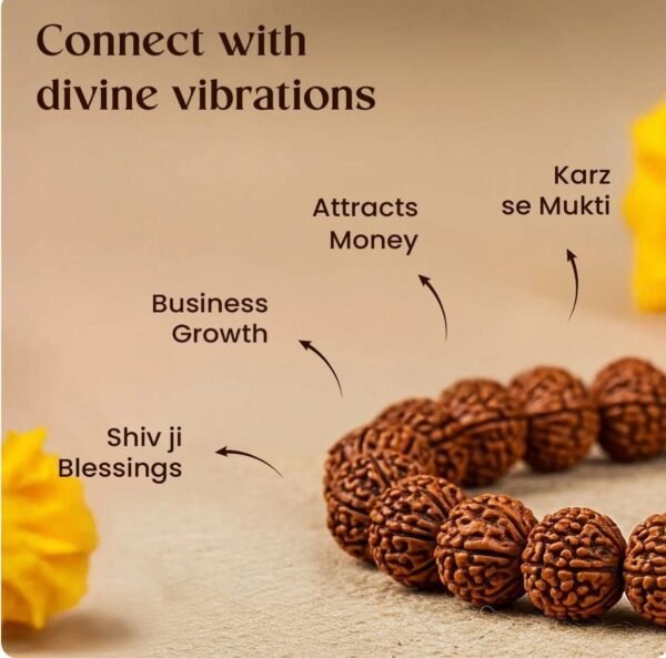 🧿 7 Mukhi Rudraksha Bracelet – Attract Wealth, Health & Divine Protection 💫 - Image 3